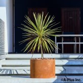 コールテン鋼 高級植木鉢 おしゃれ 大型 直径60cm 丸型 アンティーク 経年美 Patina レイズド・ラウンドプランター600 底なし A-PLUS 屋外 観葉植物 多肉植物 寄せ植え 花 鉢カバー 北欧 モダン ガーデニング 玄関 庭 パティナ