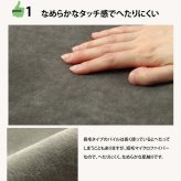 ラグ カーペット 3畳 洗える 無地 『イーズ』 約220×220cm 裏:すべりにくい加工 （ホット 対応）