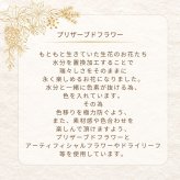 プリザーブドフラワー 【ジェンダーリビールフラワー02】　ジェンダーリビールとは、赤ちゃんの性別を 旦那さんや家族、友人にお披露目するイベントのことです。性別発表 花 フラワー 妊娠 サプライズ 男の子 女の子 帰省 妊娠報告 可愛い かわいい ホワイトデー イベント 性別 敬老の日