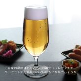 星座のグラス 「ラインストーンきらめく 12星座のタンブラーグラス／ペアセット 」
