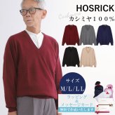 【カシミヤ１００％試験鑑定済】カシミヤ１００％メンズＶ首セーター 【ラッピング無料】【メッセージカード無料】父の日 敬老の日 クリスマス 還暦祝い 百貨店 高級 誕生日 記念日 ブランド メンズ 30代 40代 50代 60代 70代 80代 90代