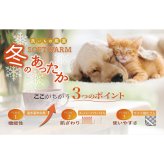 ソフトウォーム あったか遠赤 極ふわ 合わせ綿入毛布 ギフト 毛布 寝具 防寒グッズ あったか寝具【北海道・沖縄県・離島 配送不可】