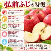 青森県産　りんご　弘前ふじ　早生ふじ　訳あり　10kg 送料無料！