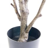 観葉植物 造花 フィカス エラスティカ BROWN 全高約195cm 大型 株立ち フェイクグリーン 高級 本物そっくり リアル おしゃれ インテリア 人工観葉植物 アーティフィシャルグリーン オフィス 店舗 ホテル 開店祝い 室内 リビング 玄関 風水 ゴムの木 インドゴムノキ