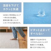 除湿機能付き シリカゲル すべり止めシート ブルー 除湿 抗菌 カビ 洗濯機OK 消臭 すべり止め HOT対応 ハサミで切れるフリーカットタイプ 洗濯機洗いも可能 120x170cm