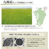 夏ラグ 夏用カーペット 純国産 い草 上敷き カーペット 双目織 『草津』 本間8畳(約382×382cm）