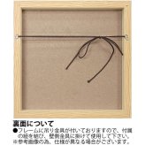 X RAY キャンバスアート リーフ オレンジ2 スクエアS XR-05813 送料無料 アートフレーム 葉っぱ 葉 X線 絵画 アート アートフレーム インテリア