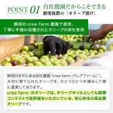 静岡産オリーブセット