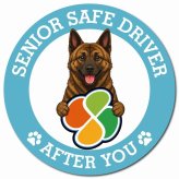 カーサイン 高齢者マーク SENIOR SAFE DRIVER 琉球犬 マグネット 強力 直径13cm 肉球 日本製 車 ステッカー
