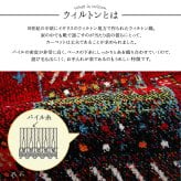 ラグ カーペット 玄関マット トルコ製 ウィルトン織り 約70×120cm 抗菌防臭 消臭機能 へたりにくい