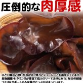 北海道産 朝採り生きくらげ 1kg 菌床栽培・無農薬 ぷりぷり肉質 送料無料 ※沖縄は送料別途加算