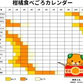 河内晩柑ジュース 200ml ギフト箱 愛媛県産【贅沢な果汁100％】送料無料