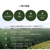 い草 置き畳 ユニット畳 システム畳 無地調 シンプル モダン シック おしゃれ空間 消臭 縁無し お手入れ簡単 裏面滑り止め 収納便利 約70×70×1.5cm 6枚組