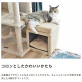 チェア 椅子 ペットハウススツール ファブリック素材 スクエア型 ナチュラル 天然木 床傷防止 座面35cm×35cm 高さ41cm キャットハウス 猫 ねこ ネコ 家具 インテリア 新生活