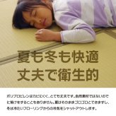 水拭きできる ポリプロピレン 置き畳 ユニット畳 『スカッシュ』 82×82×1.7cm（4枚1セット） 軽量タイプ