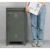 ガーデン エクステリア ポスト一体型宅配ボックス ”No.01” DB-001 宅配ボックス 宅配BOX ポスト 一体型 おしゃれ 置き配 ポスﾄ 郵便受け 郵便 一戸建て 屋外 防水 大容量 ホルン 新生活