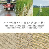 夏ラグ 夏用カーペット 国産い草カーペット せとのと 倉ノ戸 本間 2帖 2畳 柄上敷き 花ござ い草ラグ