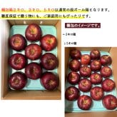 【予約】長野県産りんご 秋映 訳あり ご自宅用 果物 フルーツ お取り寄せ 産地直送 【送料無料(一部地域除く)】