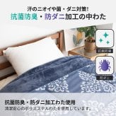 あったか 掛けふとん 蓄熱 抗菌防臭 防ダニ わた マイクロファイバー フランネル シングル 150cm 210cm 秋冬用 保温 合繊 掛け布団 布団 キルトケット 暖かい 洗える 洗濯可能 Easy warm わた使用 韓国インテリア おしゃれ かわいい エンジ ネイビー 丸八真綿 送料無料