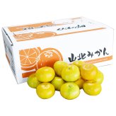 みかん 山北みかん くだもの畑 高知産 約5kg 蜜柑 温州みかん 露地みかん 5キロ 小玉 小粒 中玉 大玉 果物 旬 ミカン 家庭用 甘くておいしい 高知県産 産地直送 産直 農家さんの手詰めミカン やみつきになる山北みかん【送料無料】