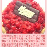 クリスマスいちごアイスケーキ【4～7号】 ［クリスマスケーキ クリスマスデコレーション クリスマスいちごケーキ］