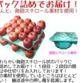 青森県産 りんご　訳あり 紅玉　10ｋｇ　送料無料！