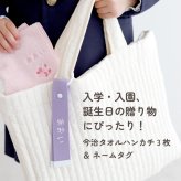ハンカチ タオルハンカチ ネームタグ 名入れ 子供 刺繍 今治 ギフト セット プレゼント オリジナル 名前入り 女の子 男の子 恐竜 植物 花 入学 入園 保育園 小学校 学校 通学 通園 綿100% 3枚セット ラッピング 当日出荷