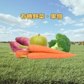フロンティアペッツ frontier pets 犬用 フリーレンジビーフ ドッグフード フリーズドライ（ローフード） グレインフリー 15g