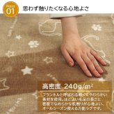 ラグ カーペット 2畳 洗える アニマル柄 ネコ柄 キャット柄 約185×185cm （ホット 対応）