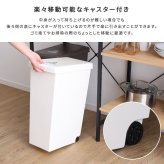 ゴミ箱 ダストボックス 30リットル ふた付き おしゃれ スリム スライドペール 30L フタ付き ごみ箱 分別 ペール