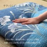 座布団 洗える 日本製 国産 和室 洋室 銘仙判 夏 約55×59cm 安心安全の純国産い草座布団 ポリエステル 綿 座ぶとん ざぶとん フロアクッション 和室クッション 寝具 寝室用品 インテリア 綿100% 手洗い 肌触り