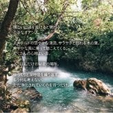 せせらぎ感じるピローミスト《Little oasis》｜天然精油・涼やかな秘境