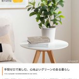 【高さ55cm】光触媒人工観葉植物 ペペロミア 幅30cm×奥行25cm×高さ55cm コンパクト 天然木 お部屋に気軽に飾れて空間を美しく彩るフェイクグリーン 本物の植物のようなリアルな質感とインテリアに馴染む風合いが魅力です