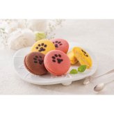 イーペルの猫祭り サンドクッキー (YJ-CB) [お中元][お歳暮] ※送料無料(北海道・沖縄・離島への配送不可)