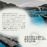 【生食用】 牡蠣 殻付き 1kg（9〜11個） 気仙沼大島産 三倍体 真牡蠣 鼎雫 かなえしずく ブランド牡蠣 送料無料 生カキ ギフト 贈答