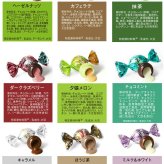 CACAOCAT カカオキャット アドベントカレンダー NR-04223 お菓子 チョコレート北海道/ボンボンショコラ/クリスマス カウントダウン 日めくり カレンダー/ギフト プレゼント/人気/スイーツ/猫 デザイン/おいしい/DADACA/