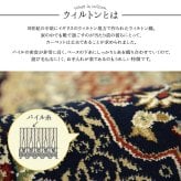 ラグ カーペット トルコ製 ウィルトン織り 玄関マット 『ベルミラ』 約60×90cm