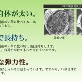 夏ラグ 夏用カーペット フリーカット い草 上敷き カーペット 『F竹』 本間2畳(約191×191cm）(裏:ウレタン張り）