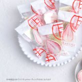 苺が主役 恋するいちご 巾着 5個入り NR-03710