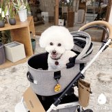 犬 メッセージタグ イエローリボン 散歩 お散歩タグ オリジナル 犬用タグ 迷子札 大きめ 本革 栃木レザー 軽量 散歩タグ 革 レザー 愛犬の気持ちを伝える こわがり 臆病 人が苦手 よく吠える 音が苦手 名入れ