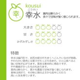 予約販売 いちかわの梨 幸水 3kg 7～10玉 千葉県市川産 梨 なし 和梨 果物 フルーツ ギフト お中元 暑中見舞い 残暑見舞い 贈答用 お供え 夏ギフト 旬の味覚 送料無料