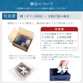 金属アレルギー対応 ペンダントトップ ハワイアンジュエリー 刻印 無料 誕生石 純チタン オーバル プレート Lサイズ チェーン別売り ステンレスより軽く肌に優しい メンズ レディース プレゼント 【品番：TIP309】