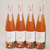 4本セット(知多半島の苺酒 金鯱(愛知県)) 500ml×4本