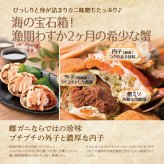 せいこ蟹 甲羅盛り 【数量限定】 越前がに 海鮮 詰め合わせ 福井県産 【冷凍便】美味しい贈物 お歳暮 ギフト