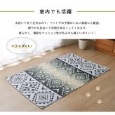 日本製 洗える レジャー シート アウトドア お手入れ 持ち運び 便利 簡単 楽 PP ポリプロピレン エスニック カラフル 約87×140cm