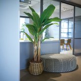 観葉植物 造花 バナナ BROWN 全高約180cm 大型 フェイクグリーン 高級 本物そっくり リアル おしゃれ インテリア 人工観葉植物 アーティフィシャルグリーン 南国 リゾート オフィス 店舗 ホテル 開店祝い 室内 リビング 玄関 風水 バナナの木