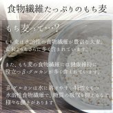 国産 もち麦 送料無料 190ｇ メール便 押し 人気 雑穀 ダイエット ヘルシー ポイント消化 スープ サラダ ごはん TVで話題沸騰  母の日