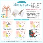 ハワイアンジュエリー ピアス 両耳用 ブルーオパール プルメリア 花 スタッドピアス フラワー 【妻・彼女へのプレゼントに】耳元を華やかに彩る シルバー925 誕生日 記念日 クリスマス プレゼント ご褒美 ギフト 20代 30代 40代 レディース ハワジュ 大人可愛い シンプル ホワイトデー 母の日 女性