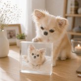 チワワ ガラスブロック 愛犬 ダックスフンド コーギー 虹の橋 ペットロス ペット 記念品 犬 ペットメモリアル 記念 写真入り 愛猫家 ペットグッズ ペット仏壇 クリスタル メモリアルプレート フォトキューブ メモリアルグッズ オリジナル ポメラニアン プレゼント 愛犬家 誕生日 小型犬 ディスプレイ 写真 オーダーメイド サプライズ メモリアルフォトフレーム フォトフレーム 置き物【c01】
