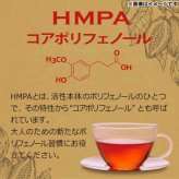 カカオ香る黒豆茶 14包 ティーバッグ 国産黒豆使用 カカオシェル配合 ノンカフェイン 健康茶 ティーパック ポリフェノール HMPA 配合 美容茶 お茶 ティー ティーバッグ ギフト プレゼント 贈り物